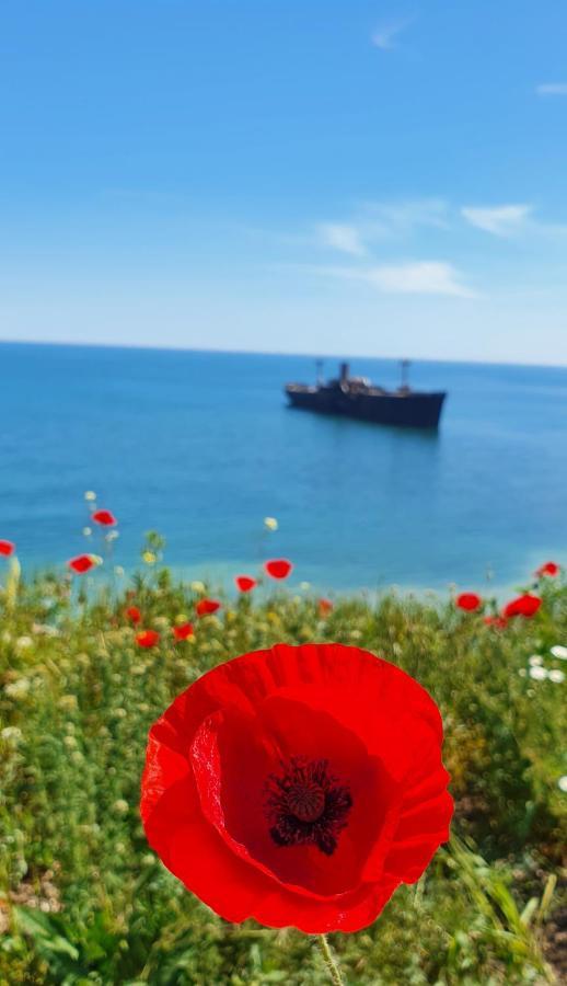 Hotel Black Sea View Costinesti Exterior foto